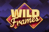 Wild Frames
