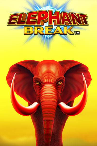 Elephant Break