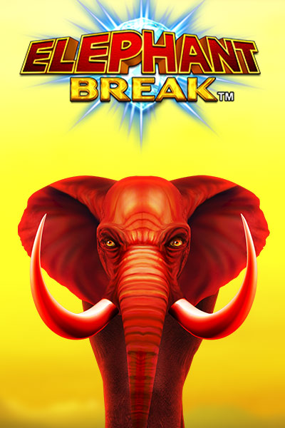 Elephant Break