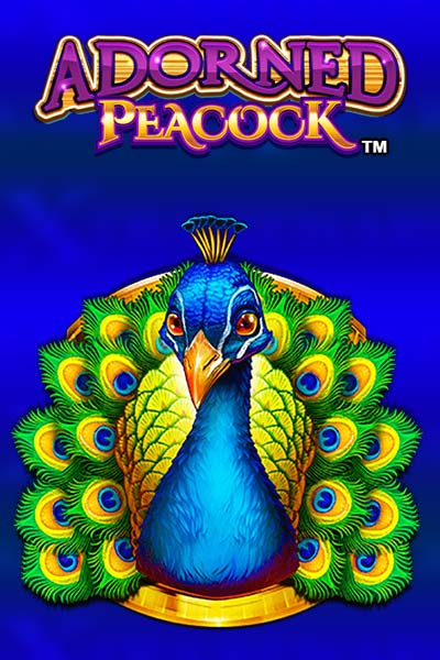 Adorned Peacock